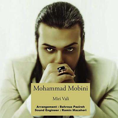 محمد مبینی - میری ولی