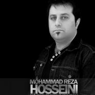 محمدرضا حسینی - نیستی
