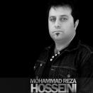 محمدرضا حسینی یک دیگه