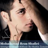 محمدرضا شعیفی - ازم نگیر