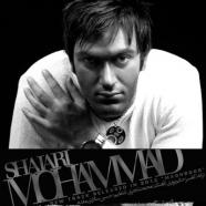 محمد شجری - مغرور