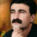 نوید حامدی کردستان