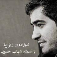 شهاب حسینی - شهزاده ی رویا