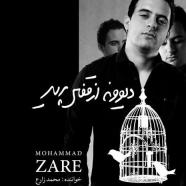 محمد زارع - دیوونه از قفس پرید