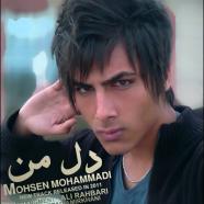 محسن محمدی - دل من