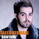 سعید کرمانی دنیامی