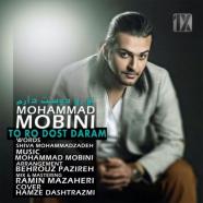 محمد مبینی -  تو رو دوست دارم