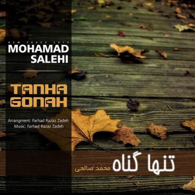 محمد صالحی - تنها گناه