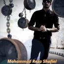 محمدرضا شفیعی زندونی دقایق