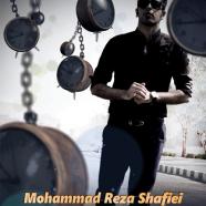محمدرضا شفیعی - زندونی دقایق