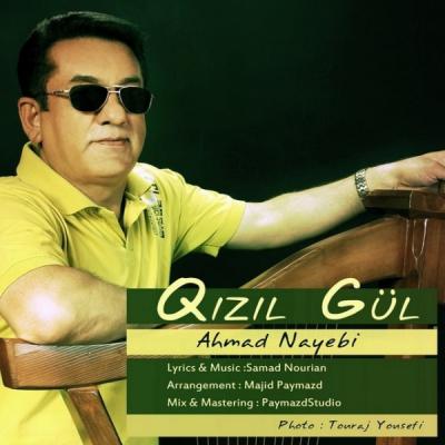 احمد نائبی - Qizil Gul