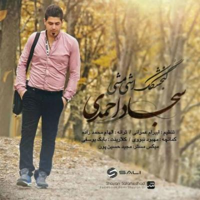 سجاد احمدی - گنجشک اشی مشی
