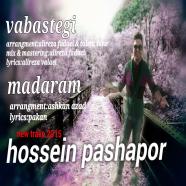 حسین پاشاپور - وابستگی