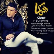 علی میرزایی -  تنها