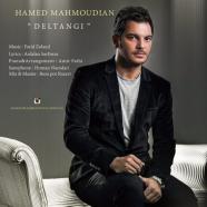 حامد محمودیان - دلتنگی