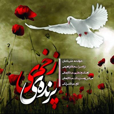 علی باجان - پرنده زخمی