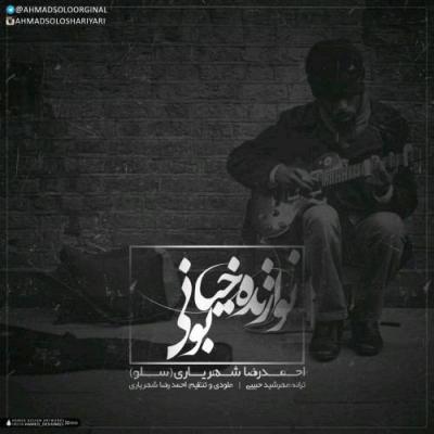 احمدرضا شهریاری - نوازنده ی خیابونی