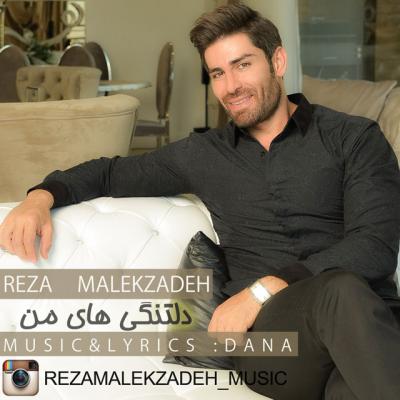 رضا ملک زاده - دلتنگی های من