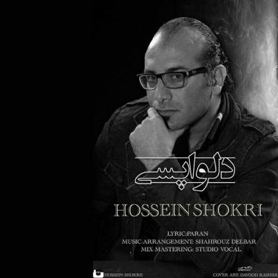 حسین شکری - دلواپسی