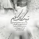 محمد احمدی تیک تاک غم