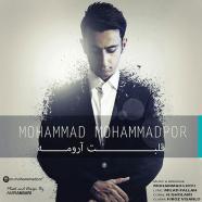 محمد محمدپور - قلبت آرومه