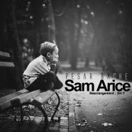 سام آریس - پسر بچه