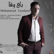 محمد گودرزی - بی وفا