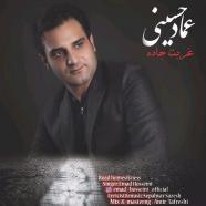 عماد حسینی - غربت جاده