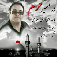 علی سعیدی - در مسیر حرم