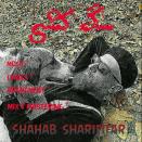 شهاب شریفی فر سگ کشی