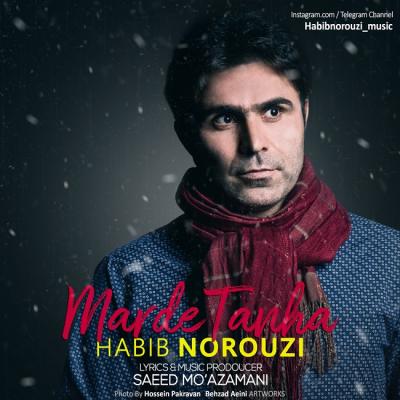 حبیب نوروزی - مرد تنها
