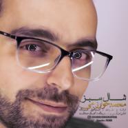 محمدرضا خوارزمی - شال سبز