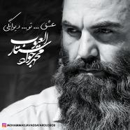 محمدجواد ستارالعیوب - عشق تو دیوانگی