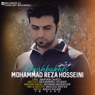 محمد رضا حسینی - خوشبختی