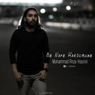 محمدرضا حسینی - به نفع هردومونه