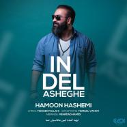 هامون هاشمی - این دل عاشقه