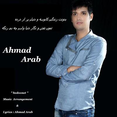 احمد عرب - بن بست