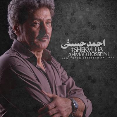 احمد حسینی - شکوه ها