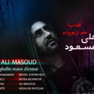 علی مسعود - قلب من دیوونه