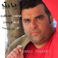 احمد شاکری - یاد تو