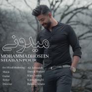 محمد حسین شعبانپور - میدونی