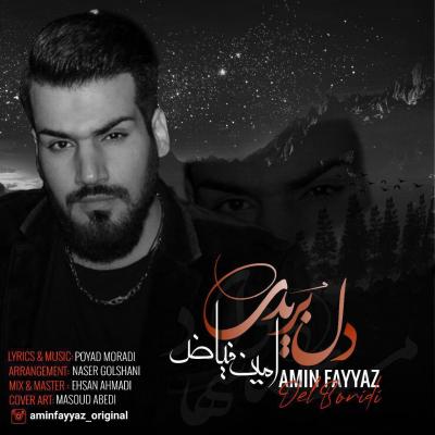 Amin Fayyaz - Del Boridi