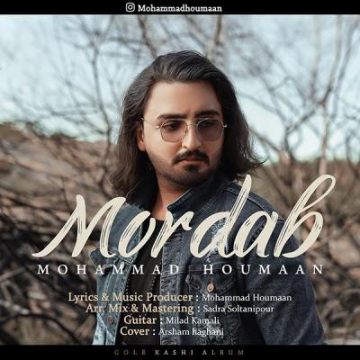 محمد هومان - مرداب
